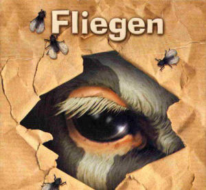 Fliegen