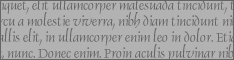 Lorem Ipsum