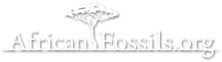African Fossils
